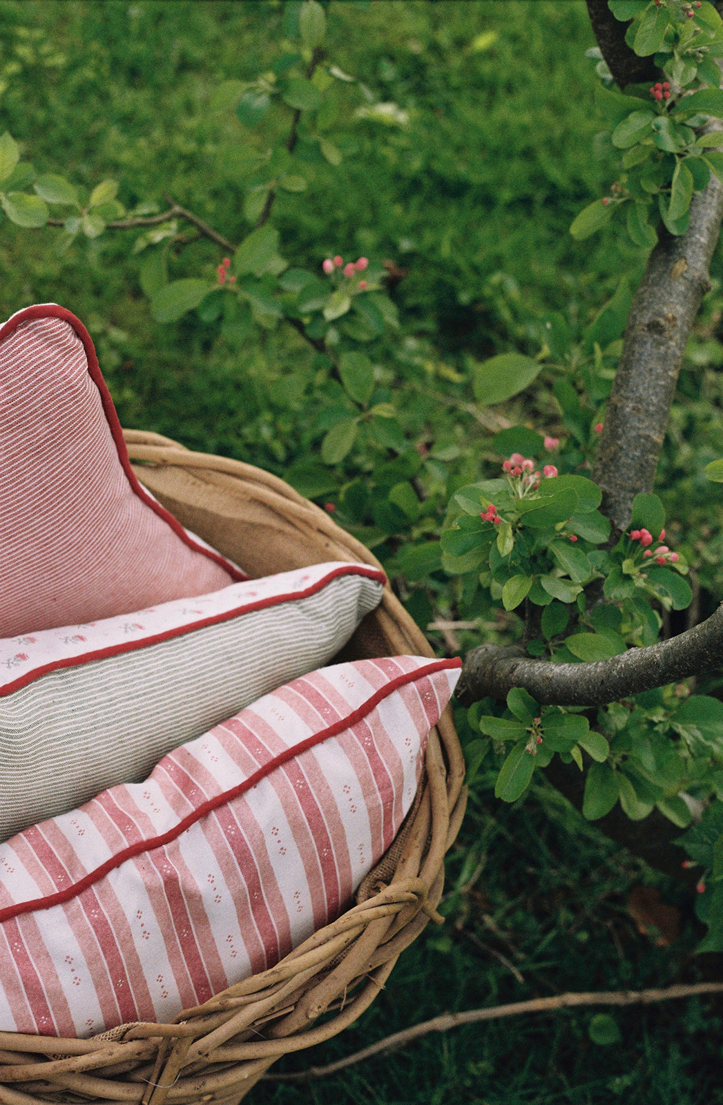 Salzburg Stripe Red & Pink Cushion