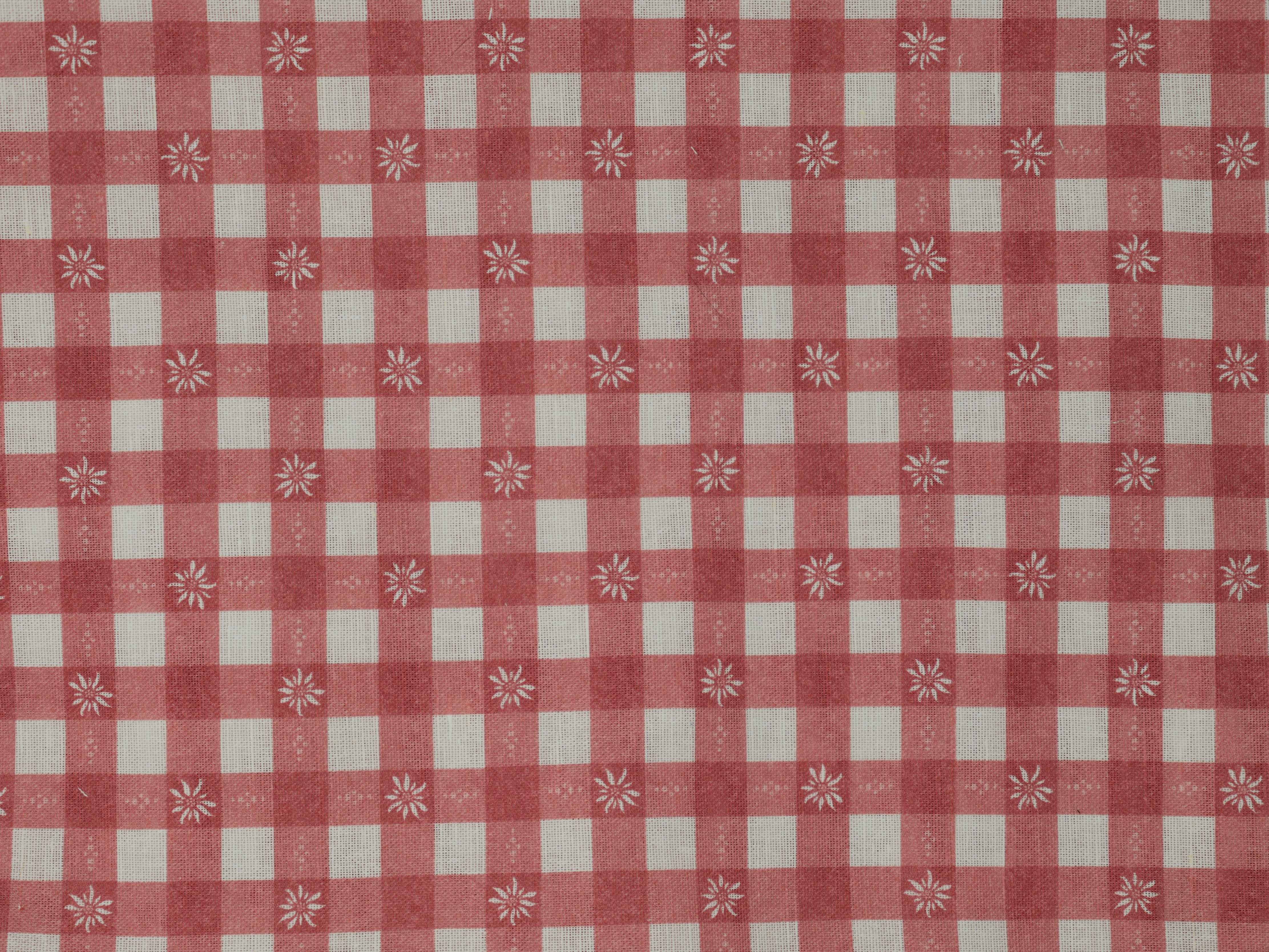Edelweiss Gingham - Raspberry Red