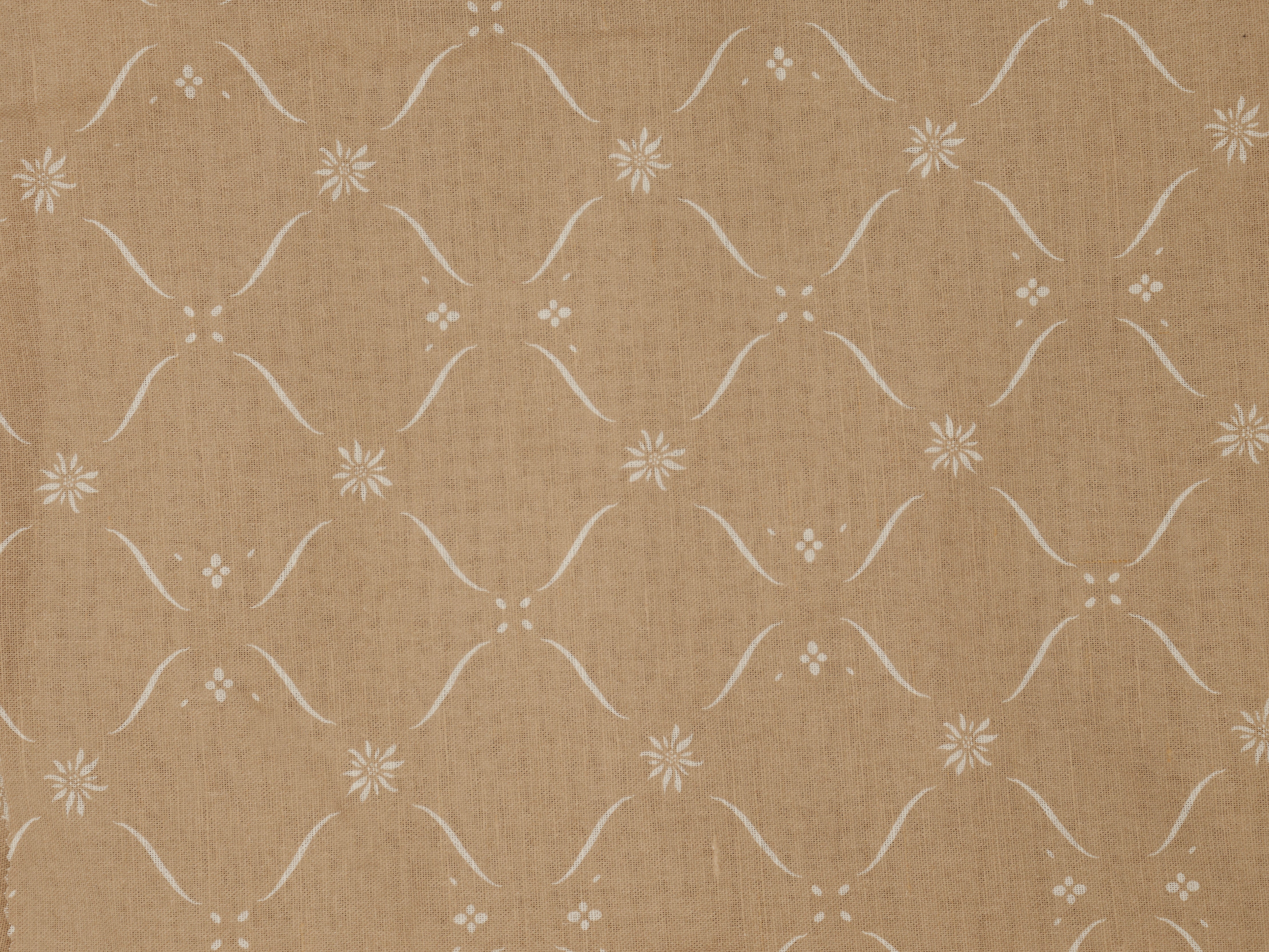 Edelweiss Trellis - Sand