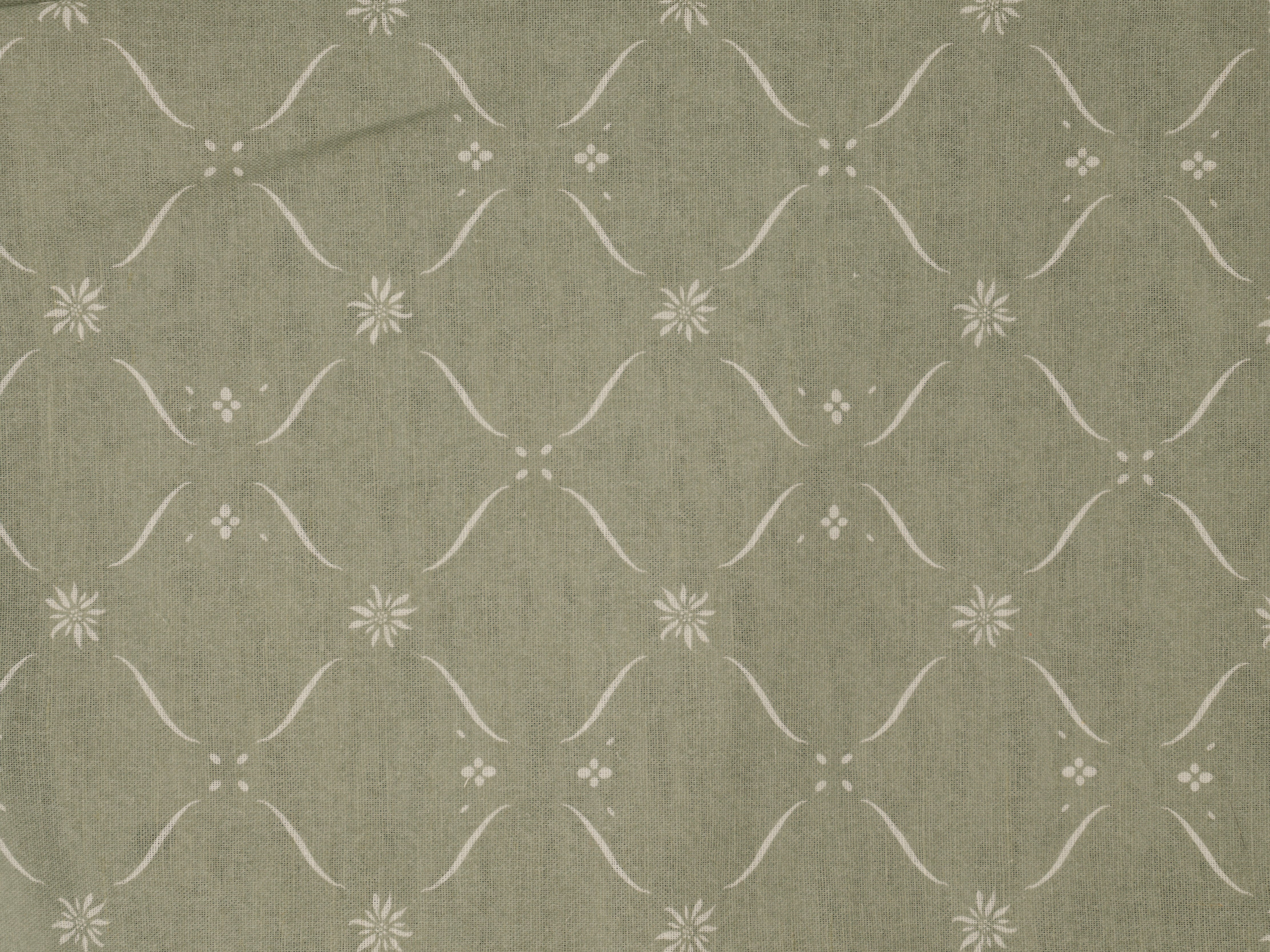 Edelweiss Trellis - Alpine Green